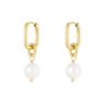 Madam Peach | Classic pearl - Gold - Tomorrow at home - Earrings