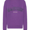 Lady Day - Sweater Georgina - Twilight - Travelstof - Paars Purple - Trui - Damestrui.